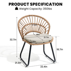 PE Rattan Outdoor Patio Chair Set of 2 with Cushion