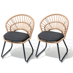 PE Rattan Outdoor Patio Chair Set of 2 with Cushion