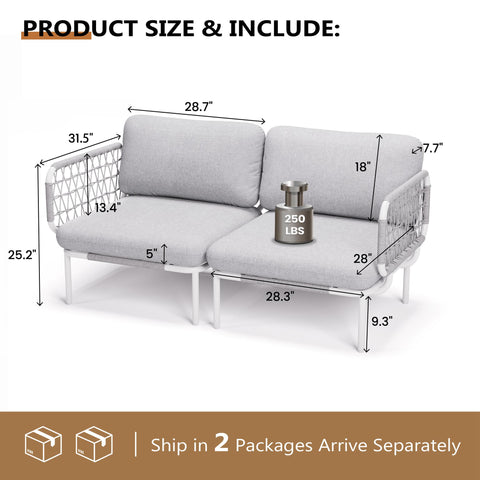 Pellebant Aluminum Outdoor Loveseat 2-Seater Patio Sofa with Cushions